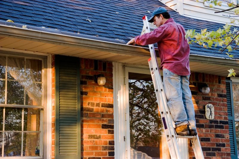 Local Gutter Cover Experts