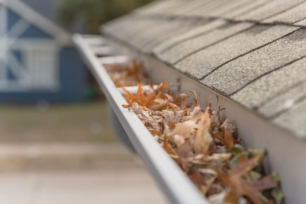 Leaf Barrier Installation in Conyers